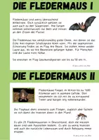 Vorschau - Arbeitsblätter - Fledermäuse - Seite 3