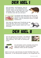 Vorschau - Arbeitsblätter - Igel - Seite 3