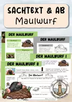 Vorschau - Arbeitsblätter - Maulwurf - Deckblatt