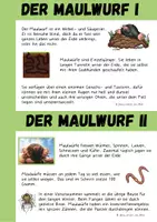 Vorschau - Arbeitsblätter - Maulwurf - Seite 3