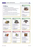 Vorschau - Spiele - Winter Quartett | 8 Gruppen, Präteritum | 72 Karten, 3 Stufen | LRS | Klasse 5–6 - Seite 1