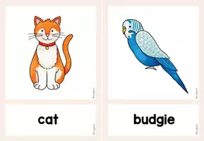 Vorschau - Bildkarten - Flashcards Pets - Bild- und Wortkarten - Seite 3
