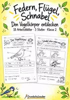 Vorschau - Arbeitsblätter - Vögel: Körperbau, Federn und Schnäbel - differenzierte Arbeitsblätter für Klasse 2 - Deckblatt