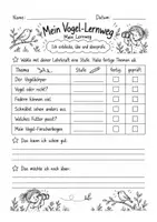 Vorschau - Arbeitsblätter - Vögel: Körperbau, Federn und Schnäbel - differenzierte Arbeitsblätter für Klasse 2 - Seite 2
