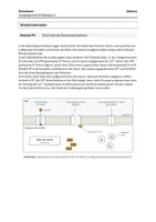 Vorschau - Klassenarbeiten - Biologie LK Klausuraufgabe Neurobiologie (mit Erwartungshorizont) – Neonataler Diabetes: Ruhepotenzial, Ionenkanäle, Hormonwirkung, Patch-Clamp – Abitur - Seite 3