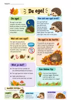 Voorbeeld - Huistaak: begrijpend lezen: de egel - Voorblad