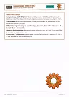 Vorschau - Arbeitsblätter - Mathematik Klasse 6 – Paket mit 5 Themen - Seite 3