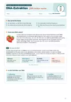 Vorschau - Stundenentwürfe - DNA-Extraktion als Praktikum: DNA aus Erdbeeren & Mundschleimhaut sichtbar machen | Unterrichtsreihe "Genetik", Biologie 9./10. Klasse – inkl. Versuchsprotokoll - Seite 1