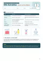 Vorschau - Stundenentwürfe - DNA-Extraktion als Praktikum: DNA aus Erdbeeren & Mundschleimhaut sichtbar machen | Unterrichtsreihe "Genetik", Biologie 9./10. Klasse – inkl. Versuchsprotokoll - Seite 2