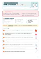 Vorschau - Stundenentwürfe - DNA-Extraktion als Praktikum: DNA aus Erdbeeren & Mundschleimhaut sichtbar machen | Unterrichtsreihe "Genetik", Biologie 9./10. Klasse – inkl. Versuchsprotokoll - Seite 3