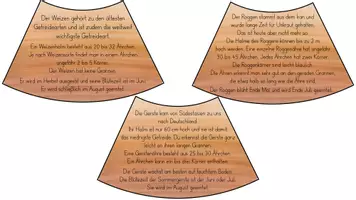 Vorschau - Präsentationen/Tafelbilder - Legekreis Getreide - Seite 2