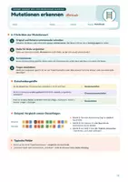 Vorschau - Stundenentwürfe - XL Materialpaket Genetik, 15 sorgenfreie Stunden: Von der Zelle bis zur Mutation – Biologie, 9.–10. Klasse - Seite 3
