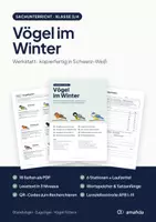 Vorschau - Arbeitsblätter - Vögel im Winter – Lernwerkstatt Sachunterricht Klasse 3/4 | Standvögel, Zugvögel, Vögel füttern - Deckblatt