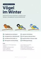 Vorschau - Arbeitsblätter - Vögel im Winter – Lernwerkstatt Sachunterricht Klasse 3/4 | Standvögel, Zugvögel, Vögel füttern - Seite 1