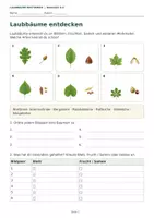 Vorschau - Arbeitsblätter - Herbst Biologie Klasse 5 6 Materialpaket - Seite 1