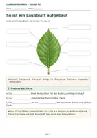 Vorschau - Arbeitsblätter - Herbst Biologie Klasse 5 6 Materialpaket - Seite 2