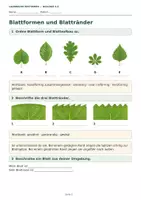 Vorschau - Arbeitsblätter - Herbst Biologie Klasse 5 6 Materialpaket - Seite 3