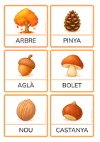 Vista previa - Hojas de trabajo - Vocabulari de tardor en català – Targetes i joc de parelles (PAL) - página 1