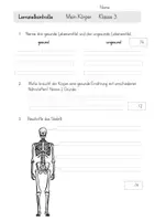 Vorschau - Test - Lernzielkontrolle - Mein Körper (Klasse 3) Ernährung, Verdauung, Skelett, Muskeln, Sinne - Seite 2