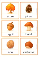 Vista previa - Hojas de trabajo - Vocabulari de tardor en català – Targetes i joc de parelles (impremta) - página 1