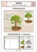 Vorschau - Arbeitsblätter - Wald I Teile des Baumes I Klasse 1/2 - Deckblatt