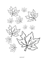 Vorschau - Mal- und Bastelvorlagen - 🍁Blättervielfalt im Herbst | Herbst erkunden | - Seite 1