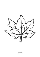 Vorschau - Mal- und Bastelvorlagen - 🍁Blättervielfalt im Herbst | Herbst erkunden | - Seite 2