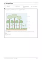 Vorschau - Stundenentwürfe - Biologie: Lapbook - Ökosystem - Seite 3