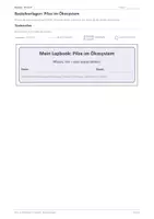 Vorschau - Stundenentwürfe - Biologie: Lapbook - Pilze - Seite 1