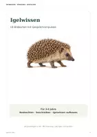 Vorschau - Arbeitsblätter - Materialpaket- Igelzeit in der Kita – Herbstpaket mit Bildkarten, Merkspiel & Bastelgeschichte | 3–6 Jahre - Seite 1