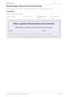 Vorschau - Stundenentwürfe - Biologie: Lapbook - Evolution - Seite 1