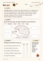 Vorschau - Arbeitsblätter - Gratis: Der Igel – Lesen & Rätseln Kl. 1–2 - Seite 2