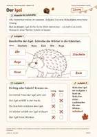 Vorschau - Arbeitsblätter - Gratis: Der Igel – Lesen & Rätseln Kl. 1–2 - Seite 3