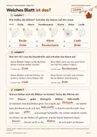 Vorschau - Arbeitsblätter - Gratis: Welches Blatt ist das? Kl. 3–4 - Seite 3