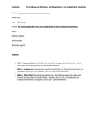 Vorschau - Klassenarbeiten - Klausur - Menschen- und Bürgerrechte Frz. Revolution II - Seite 2