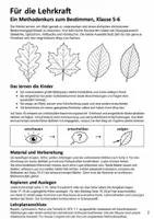 Vorschau - Stundenentwürfe - Bäume bestimmen mit Bestimmungsschlüssel - Bestimmen lernen: Welcher Baum ist das? | Biologie-Mission Klasse 5-6 - Seite 1