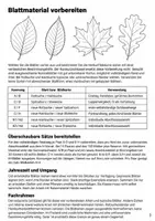 Vorschau - Stundenentwürfe - Bäume bestimmen mit Bestimmungsschlüssel - Bestimmen lernen: Welcher Baum ist das? | Biologie-Mission Klasse 5-6 - Seite 2