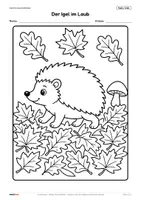 Vorschau - Arbeitsblätter - Herbst Ausmalbilder – 20 Motive für Kunst, Freiarbeit & Vertretungsstunden | Klasse 1–4 - Seite 2
