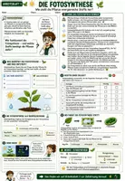 Vorschau - Unterrichtsreihen - 🌿☀️ Fotosynthese & Zellatmung ⚡♻️ | Unterrichtsmaterial Biologie (Bio) | Arbeitsblätter, Lösungen, Einstieg & Ausstieg | Klasse 7,8 - Deckblatt
