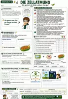 Vorschau - Unterrichtsreihen - 🌿☀️ Fotosynthese & Zellatmung ⚡♻️ | Unterrichtsmaterial Biologie (Bio) | Arbeitsblätter, Lösungen, Einstieg & Ausstieg | Klasse 7,8 - Seite 1