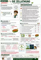 Vorschau - Unterrichtsreihen - 🌿☀️ Fotosynthese & Zellatmung ⚡♻️ | Unterrichtsmaterial Biologie (Bio) | Arbeitsblätter, Lösungen, Einstieg & Ausstieg | Klasse 7,8 - Seite 3