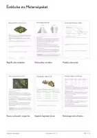 Vorschau - Unterrichtsreihen - Weltbevölkerung & demografischer Übergang – Große Lernwerkstatt Geografie & Erdkunde | Bevölkerungswachstum, demografisches Modell, Bevölkerungspyramiden, Geburtenrate & Sterberate | Arbeitsblätter mit Lösungen - Seite 1