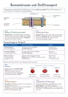 Vorschau - Poster - Biologie Gesamtbundle – 150 Spickzettel in 15 Themenpaketen | Zellbiologie, Humanbiologie, Pflanzen, Tiere, Genetik, Evolution, Ökologie, Gentechnik & Naturschutz | Lernzettel & Merkblätter - Seite 3