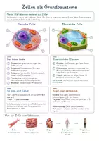 Vorschau - Poster - Biologie Gesamtbundle – 150 Spickzettel in 15 Themenpaketen | Zellbiologie, Humanbiologie, Pflanzen, Tiere, Genetik, Evolution, Ökologie, Gentechnik & Naturschutz | Lernzettel & Merkblätter - Seite 1