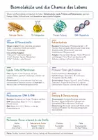 Vorschau - Poster - Biomoleküle & Chemie des Lebens – Biologie Spickzettel & Lernzettel | Kohlenhydrate, Fette, Proteine, DNA, RNA, Aminosäuren & Stoffnachweise | Illustrierte Wissensübersicht - Deckblatt