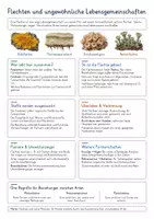 Vorschau - Poster - Flechten & Symbiose – Biologie Spickzettel & Lernzettel | Flechtenaufbau, Pilze, Algen, Cyanobakterien, Mutualismus, Bioindikatoren & Lebensgemeinschaften | Illustrierte Wissensübersicht - Deckblatt
