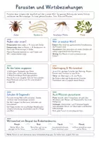 Vorschau - Poster - Parasiten & Wirtsbeziehungen – Biologie Spickzettel & Lernzettel | Ektoparasiten, Endoparasiten, Zecken, Bandwürmer, Malaria, Wirtswechsel & Parasitismus | Illustrierte Wissensübersicht - Deckblatt