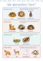 Vorschau - Stationenlernen - Tiere im Winter | Winter-Forscherwerkstatt | Winterschlaf | Winterruhe | Winterstarre | 10 Stationen | Klasse 2-4 - Seite 1