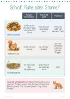 Vorschau - Stationenlernen - Tiere im Winter | Winter-Forscherwerkstatt | Winterschlaf | Winterruhe | Winterstarre | 10 Stationen | Klasse 2-4 - Seite 2