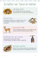 Vorschau - Stationenlernen - Tiere im Winter | Winter-Forscherwerkstatt | Winterschlaf | Winterruhe | Winterstarre | 10 Stationen | Klasse 2-4 - Seite 3